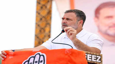 Despite rift, Rahul Gandhi says DMK with oppn on ‘idea of India’