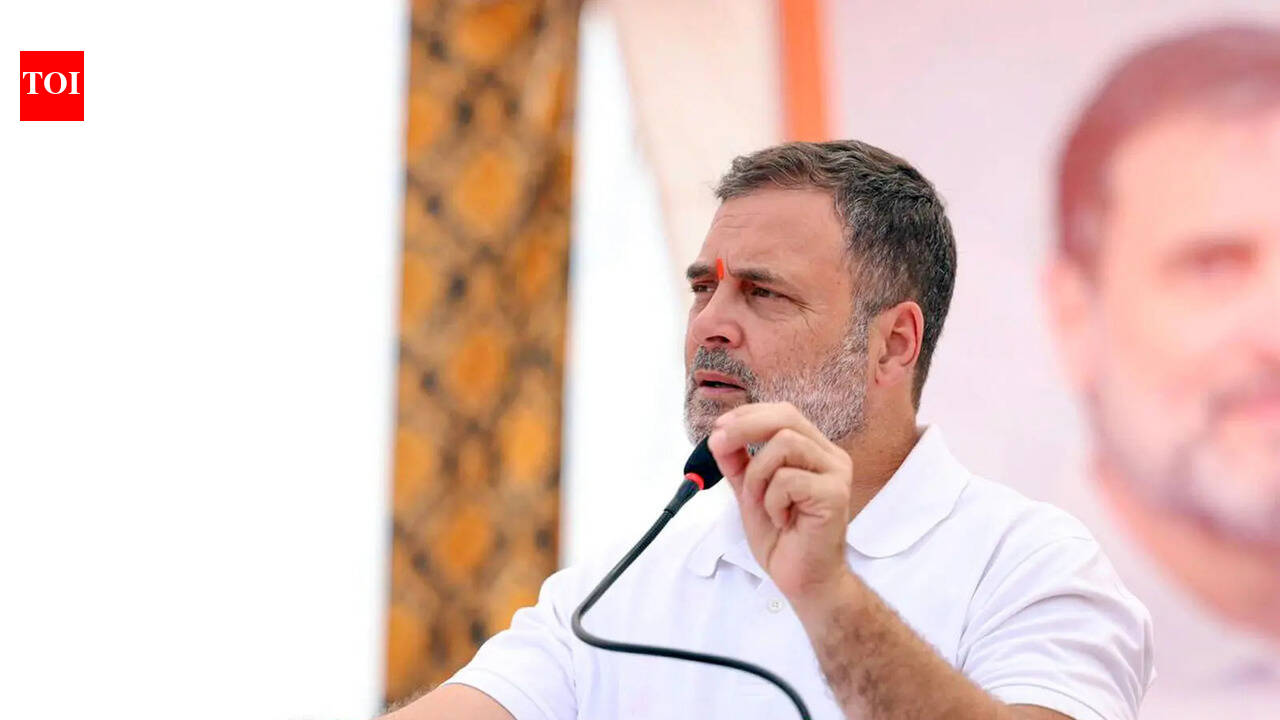 Despite rift, Rahul Gandhi says DMK with opposition on ‘idea of India’