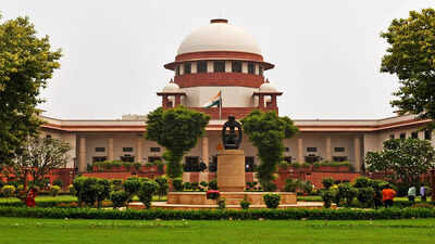 Psych evaluation of parents a must in child custody disputes, rules SC