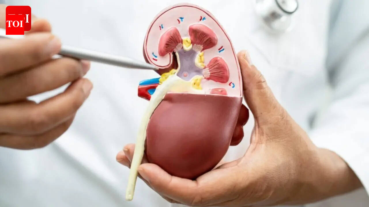 Kidney disease: New drug shows tremendous promise; offers hope beyond diabetes