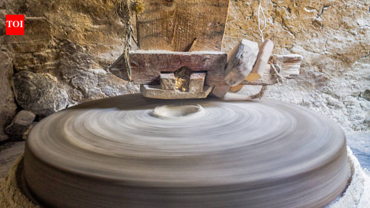 Stone-ground vs roller-milled flour and blade-cut flour: Does the traditional method really lock in more nutrients?
