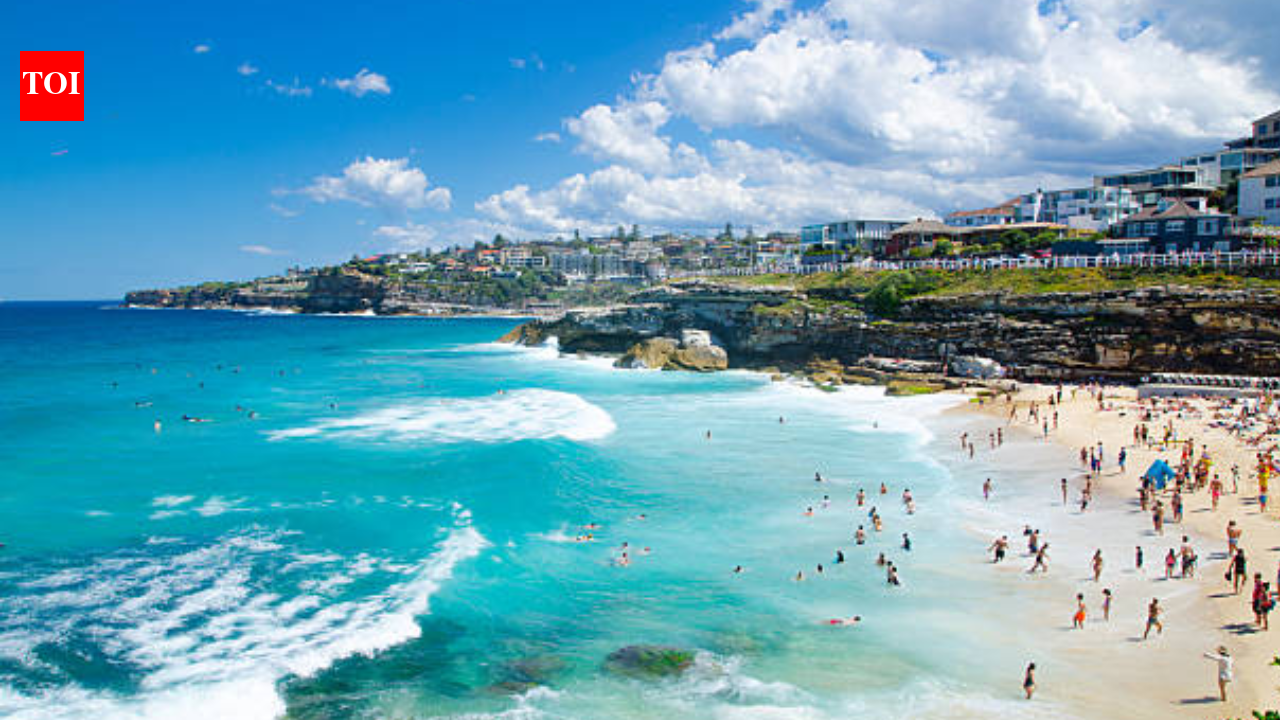 Shark attack at Sydney's Coogee Beach leaves woman critically injured
