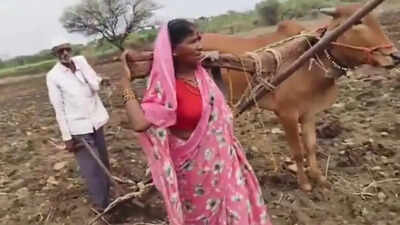 Govt-gifted bull to replace farmer’s wife yoked to the plough turns out to be unfit