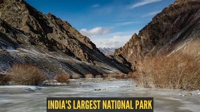 Hemis National Park: How to reach, when to go and everything traveller should know before visiting?