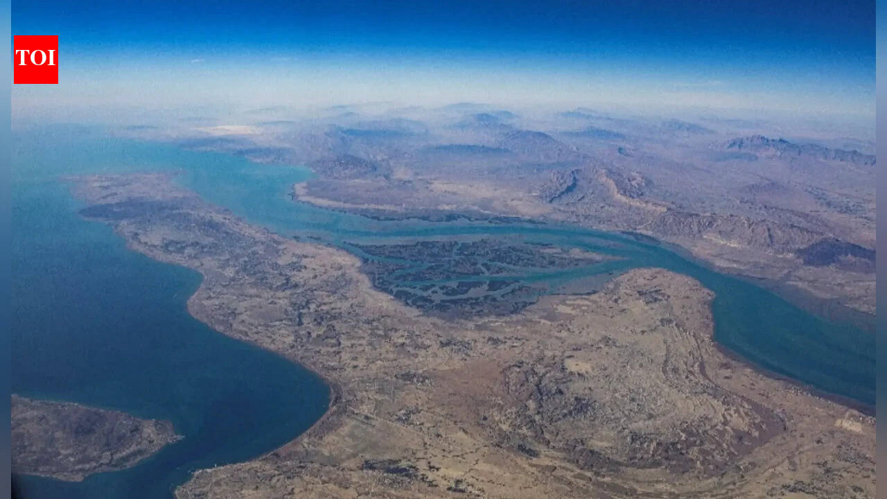 US downs Iranian drones targeting ships in Strait of Hormuz as Tehran, Washington discuss future of key waterway