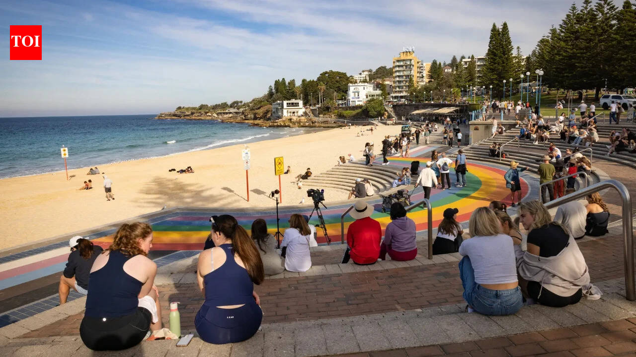 Sydney shark attack: Woman critically injured by 3.5-metre great white, rescued by lifeguard