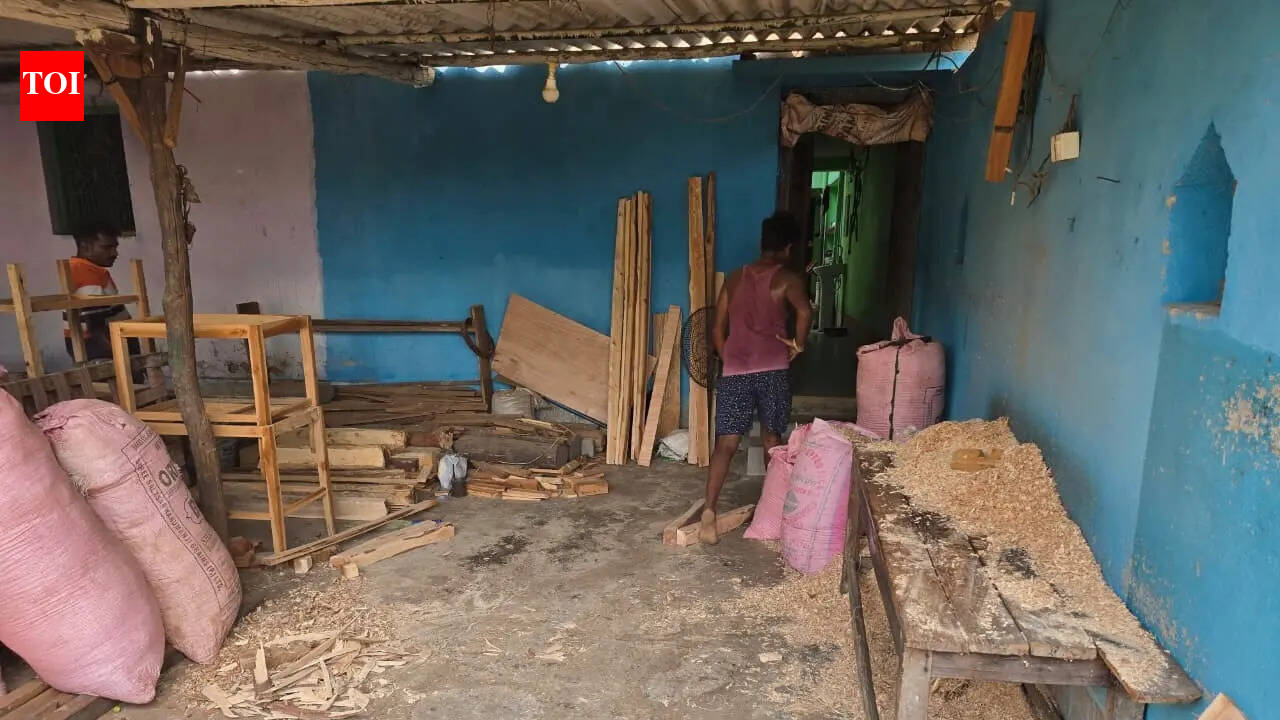 Illegal timber racket busted in Bokaro, 5 detained