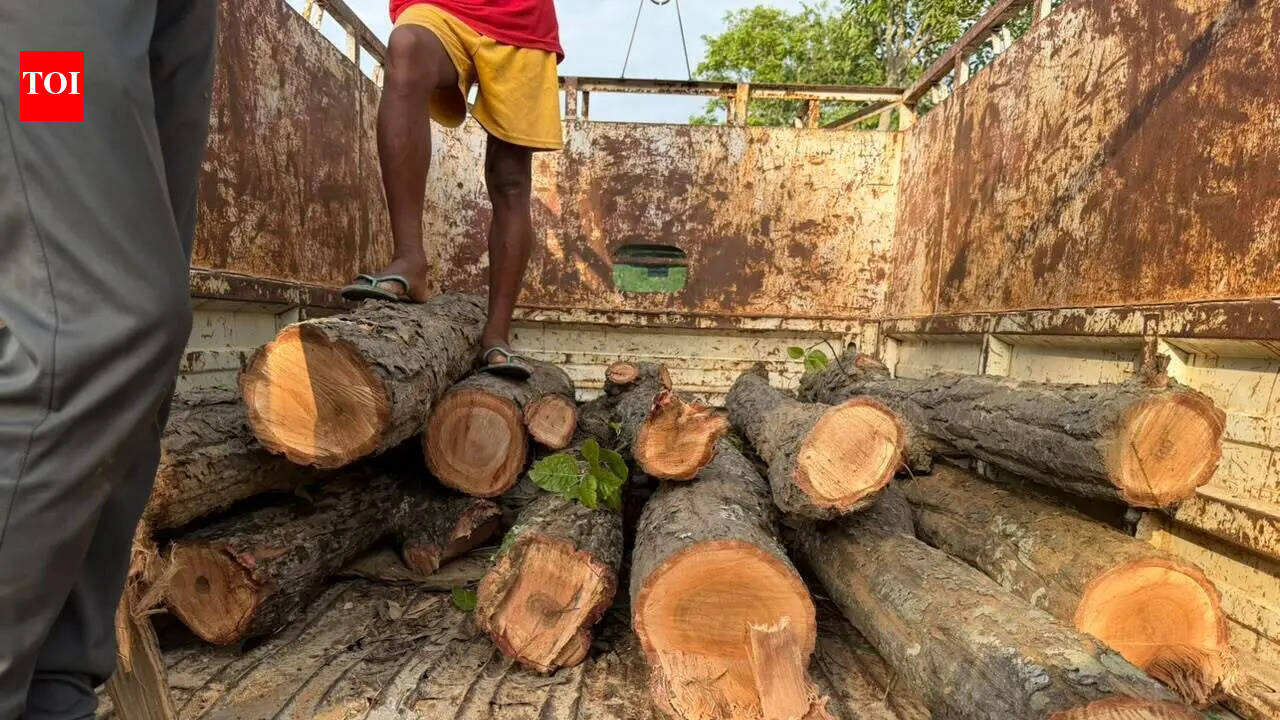 Power department contractor, workers booked for illegally felling trees in Garhwa