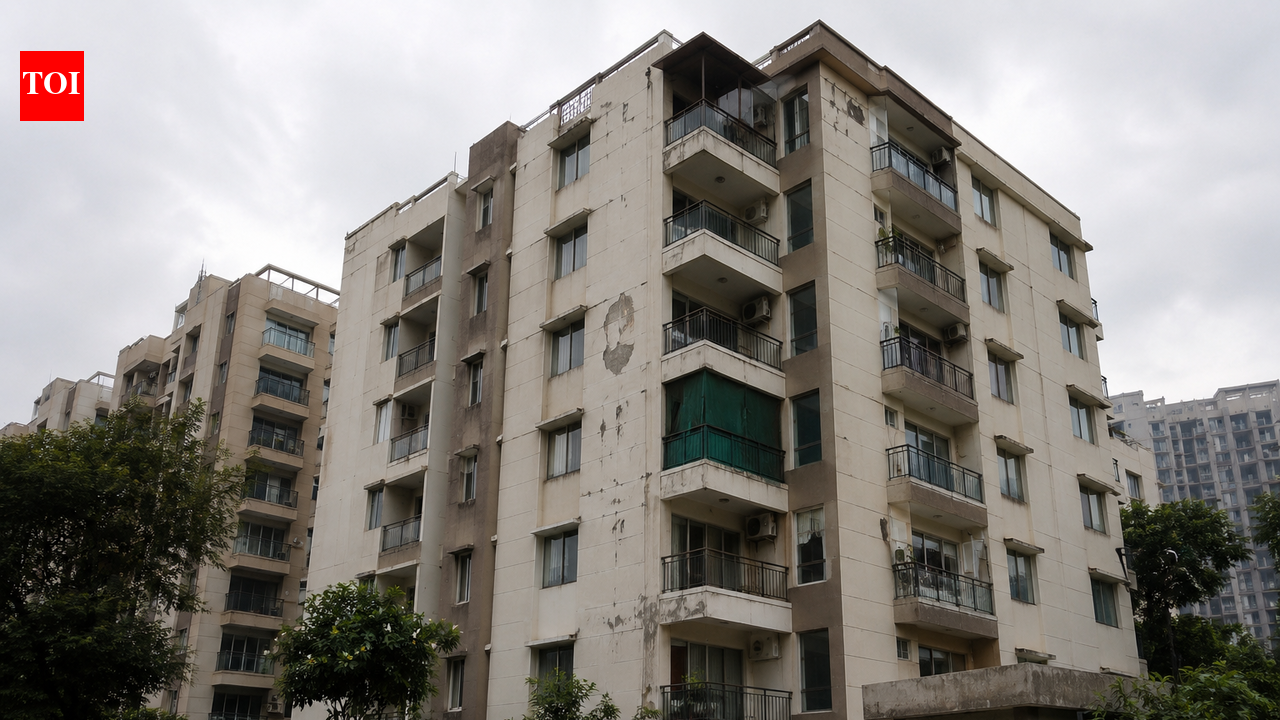 Forced to work 16 hrs daily, abused: West Bengal woman rescued from Gurugram flat