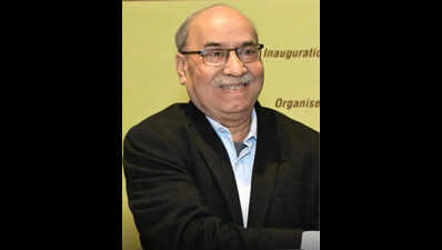 Patna economist to head GoI expert panel
