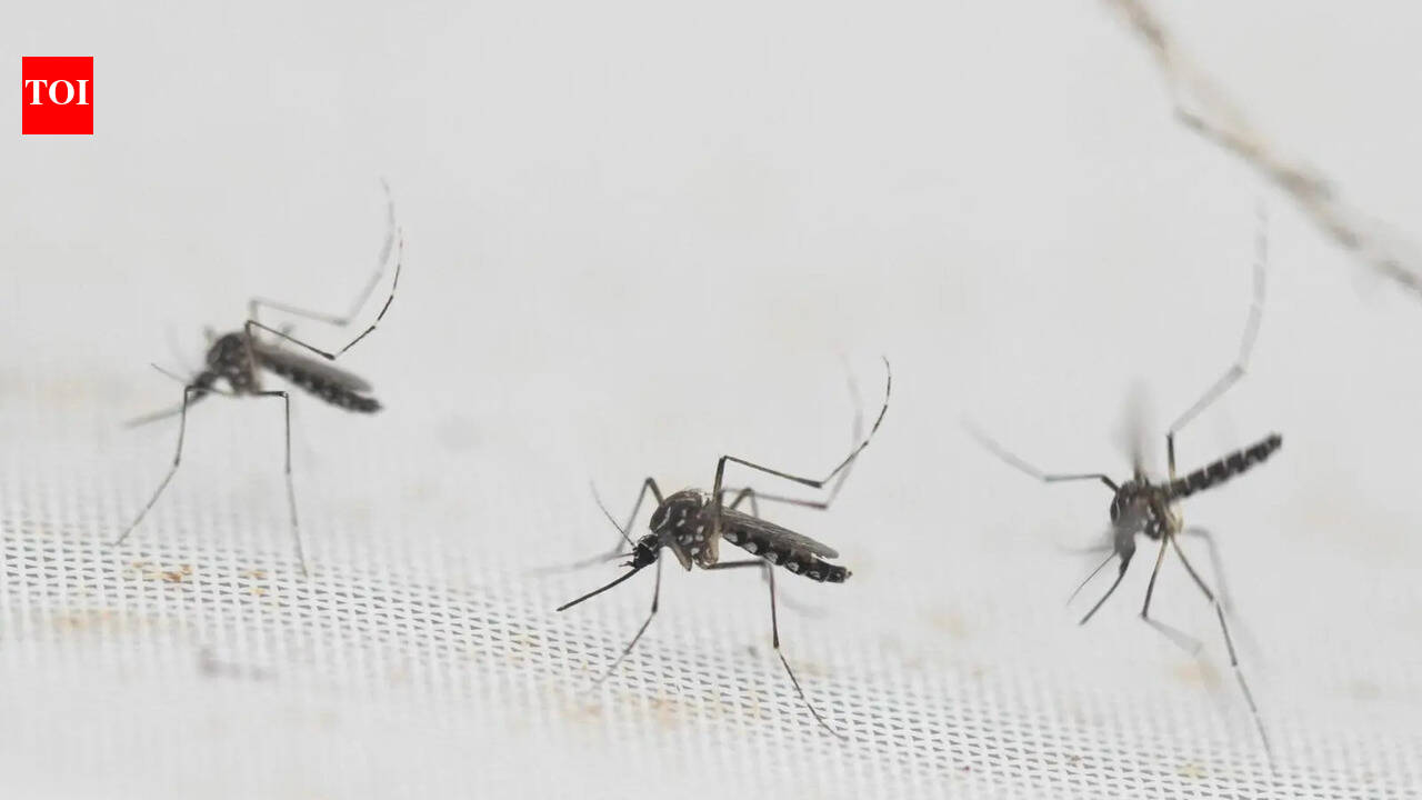 62-year-old dies of dengue in Palakkad