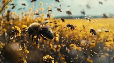 Teacher, 13 students injured in bee attack at Dindigul school