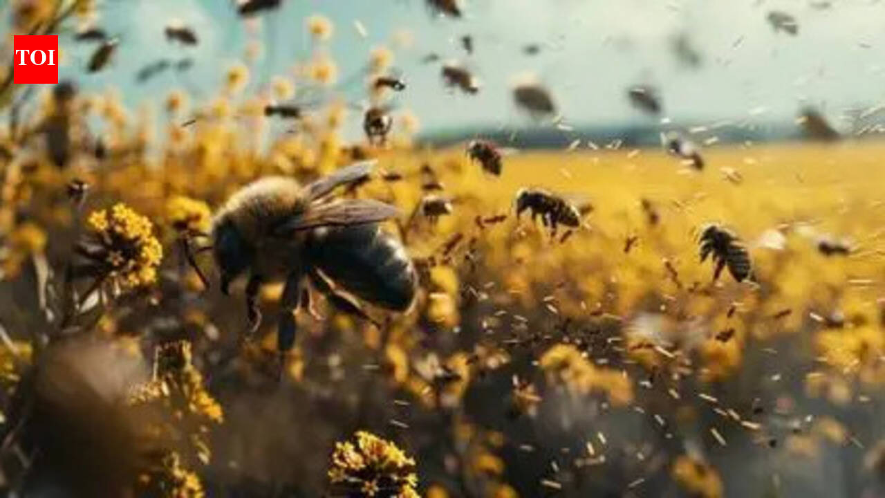 Teacher, 13 students injured in bee attack at Dindigul school
