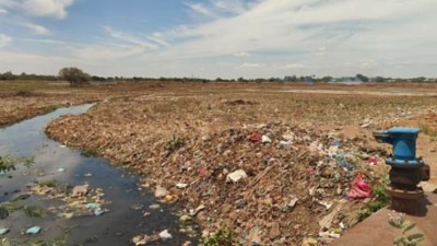 WRD takes up rehabilitation of Mavadikulam tank, but sewage inflow poses threat