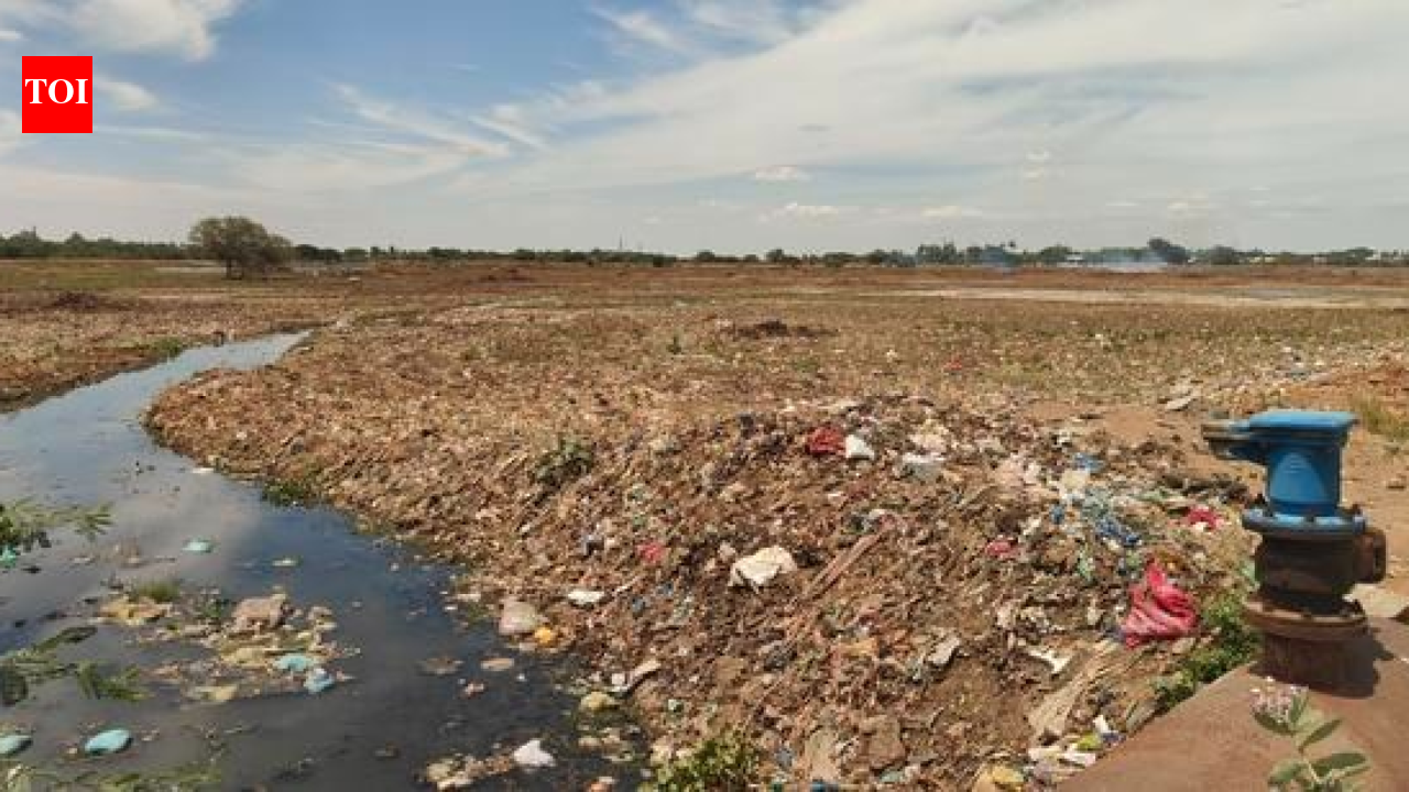 WRD takes up rehabilitation of Mavadikulam tank, but sewage inflow poses threat