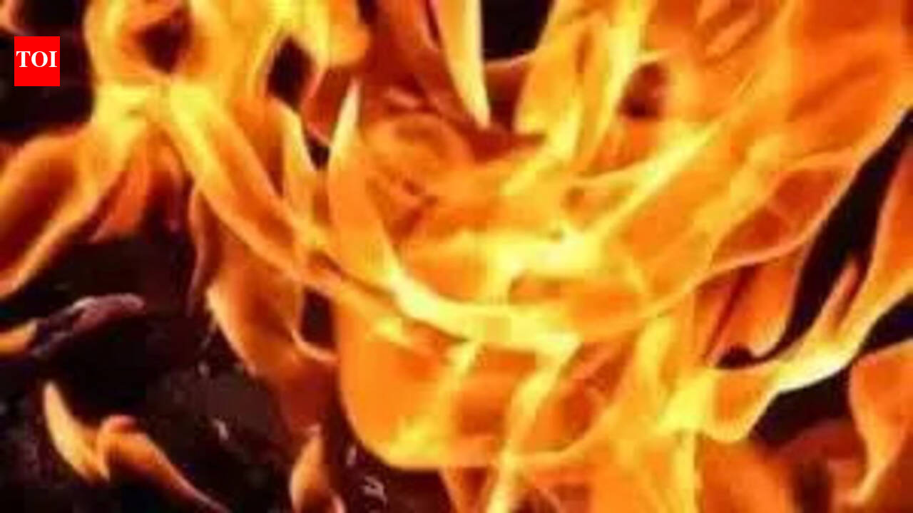 Fire guts paint and eye-drop manufacturing units near Vanagaram