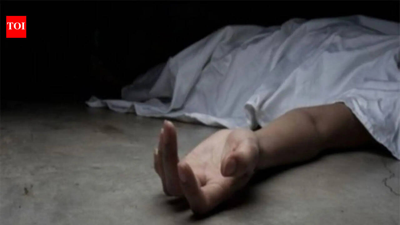 Humiliation by colleagues, harassment by 'online friend': Pune techie suicide case gets murkier