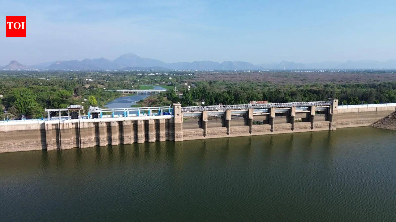 Vaigai Dam lost 15-20% of capacity to silt, says minister
