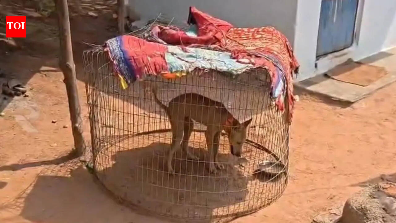 Pet dog aiding missing girl search dies in Tuni, probe ordered