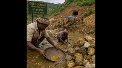 Gold rush hopes spark in Haveri as GSI identifies potential deposits
