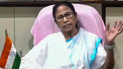 Major TMC reshuffle amid turmoil: Arnab Banerjee, Kunal Ghosh appointed presidents