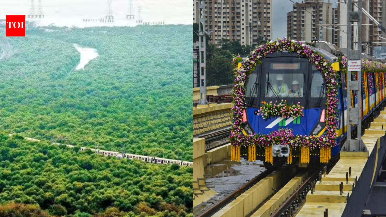 Maharashtra clears mangrove land diversion for Mumbai Metro 4 depot access