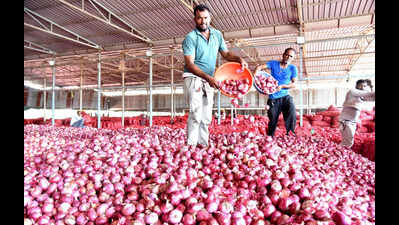 Bhujbal wants Nafed to buy onions directly from APMCs