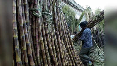 Sweeten the cane deal: Farmers demand Rs 1,000 over FRP