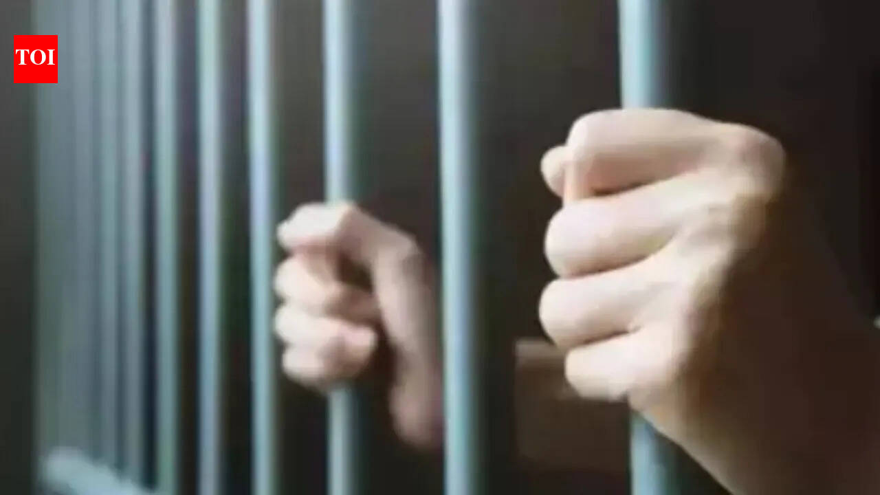 Pakistan-occupied Kashmir resident apprehended near LoC