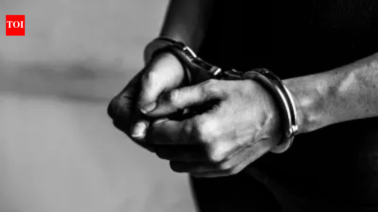 Indian man sentenced to 34 years in UK for kidnap, torture and rape