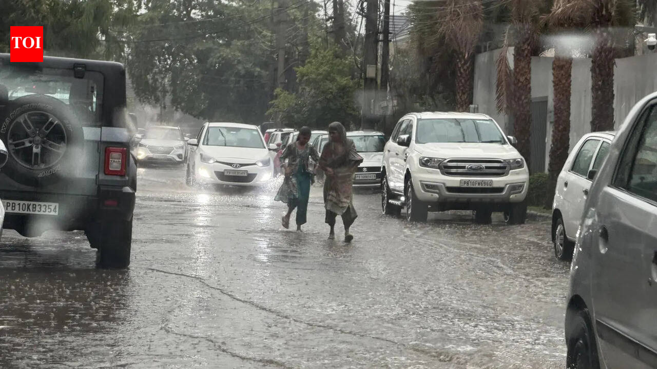 Temperature falls to a 3-year low in Ludhiana.