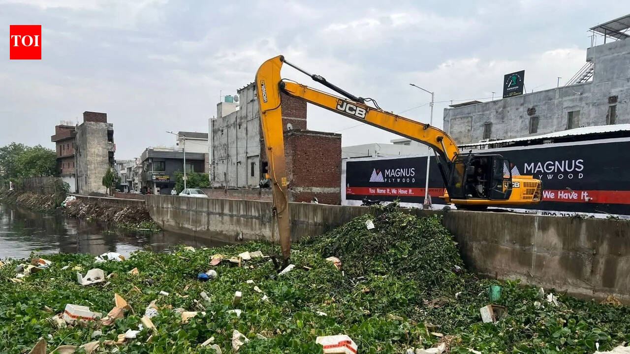 Night rain leaves morning muck in Ludhiana.