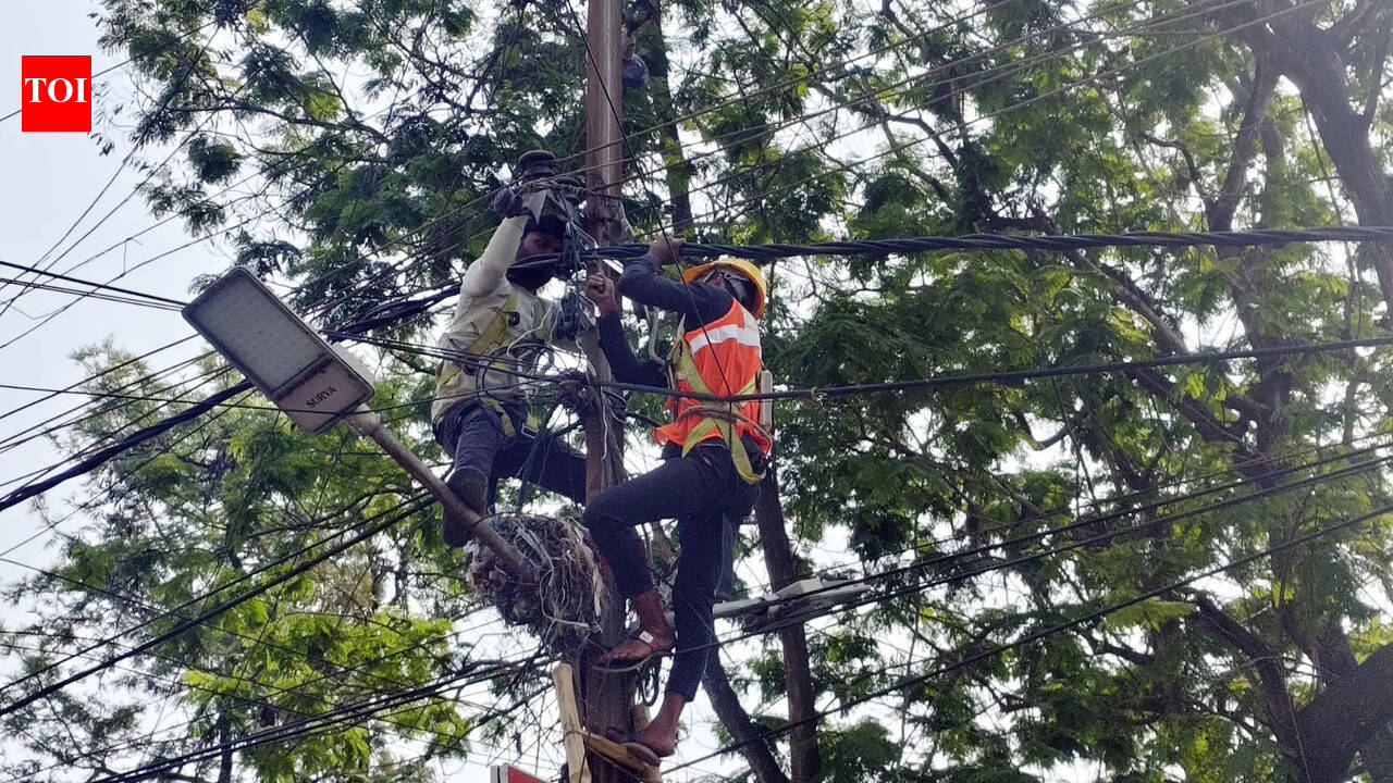 Power costs up 31% amid West Asia crisis: Sood