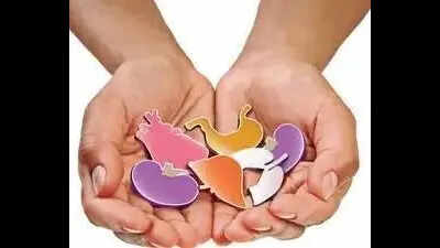 3-year-old gives life to four, becomes youngest paediatric organ donor in Pune zone