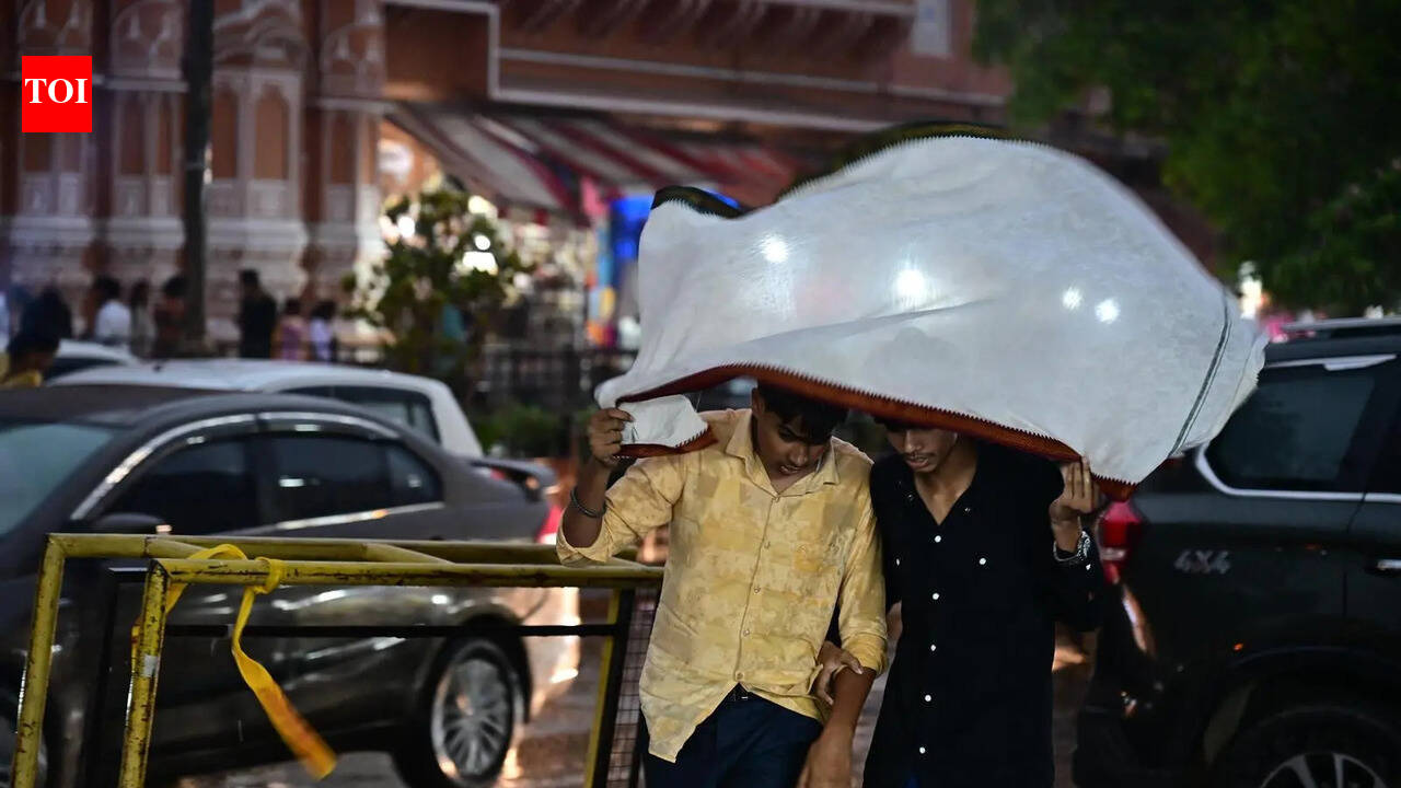 Rain, thunderstorms lash Rajasthan, IMD issues alert for 23 districts