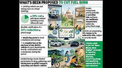 WFH may come back as Haryana looks to expand fuel austerity to corporates