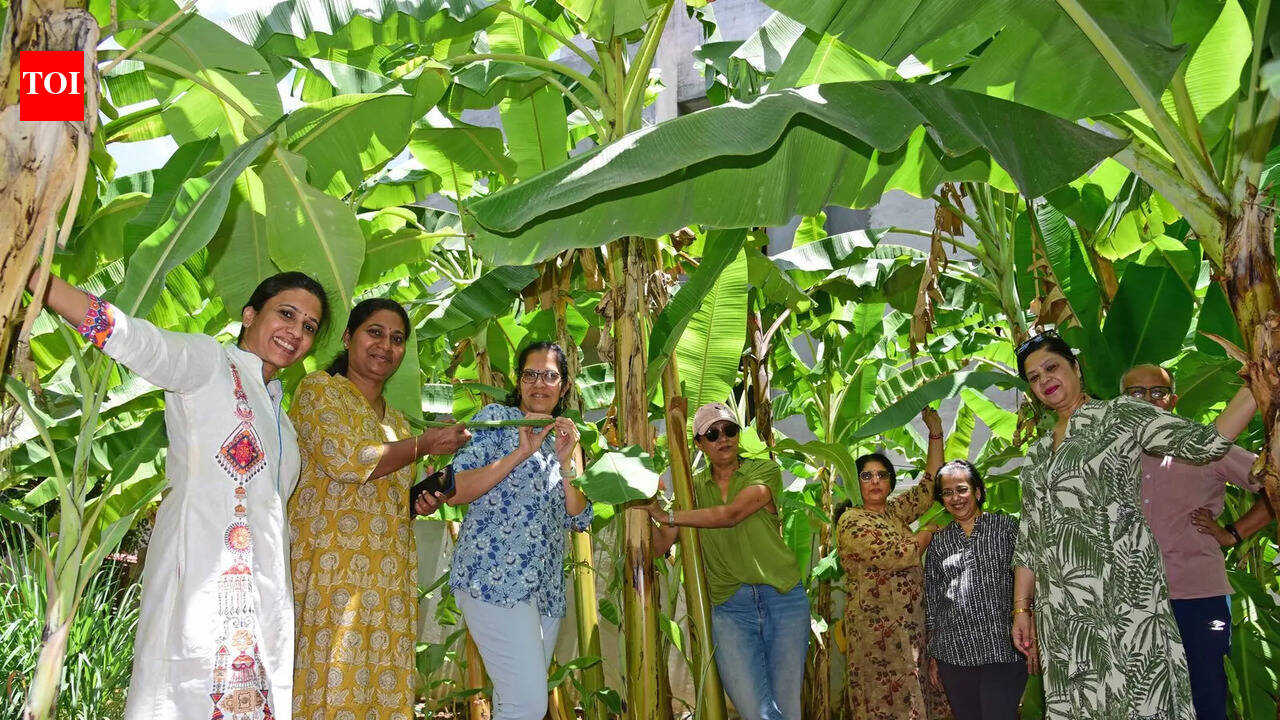 Going Bananas Over Farming