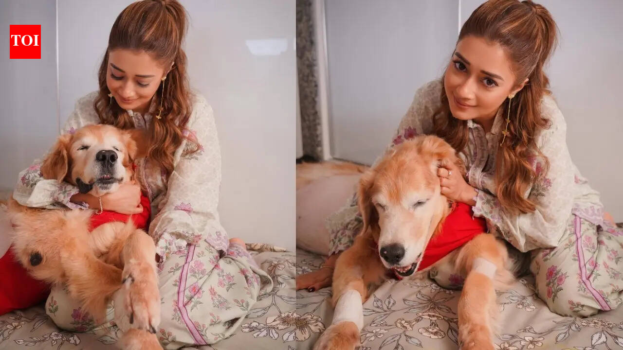 Tina Datta shares an emotional note about a devastating personal loss: ‘The void is unbearable’