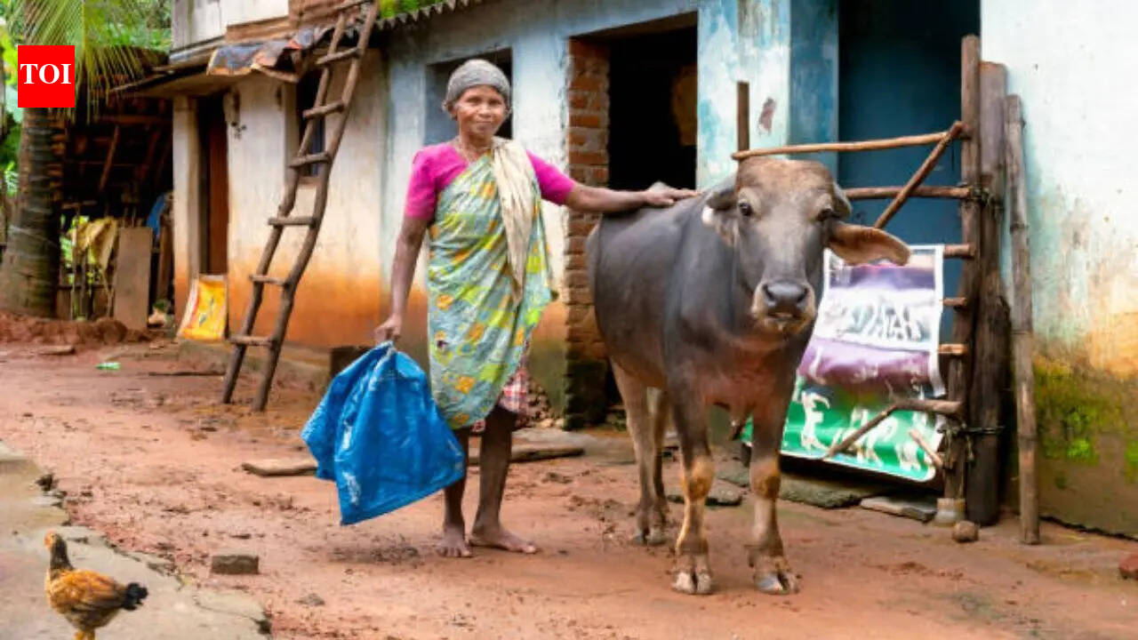 Meet Daryaben: Gujarat's 'Dairy Queen' who went from being a homemaker to earning ₹1.85 crore annually