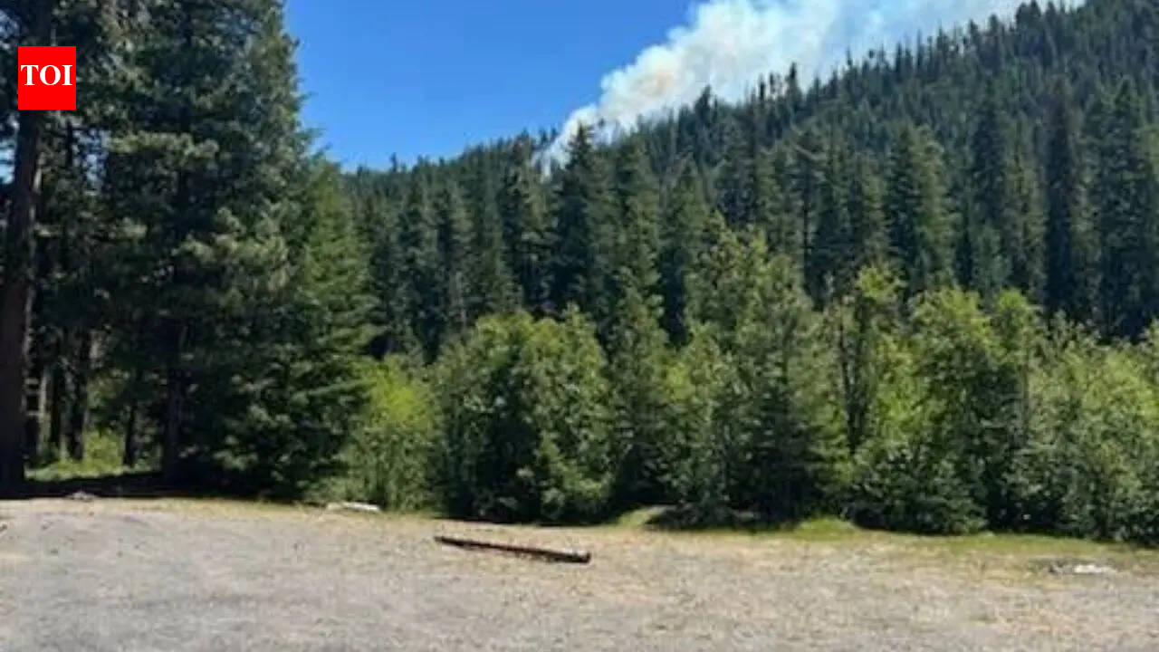 US Marine Corps F/A-18 jet crashes in Washington state, pilot sustains minor injuries