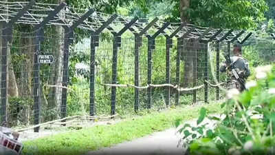'Historical mistakes': Himanta flags delay in India-Bangladesh border fencing, says Assam Accord provisions implemented only in 2025