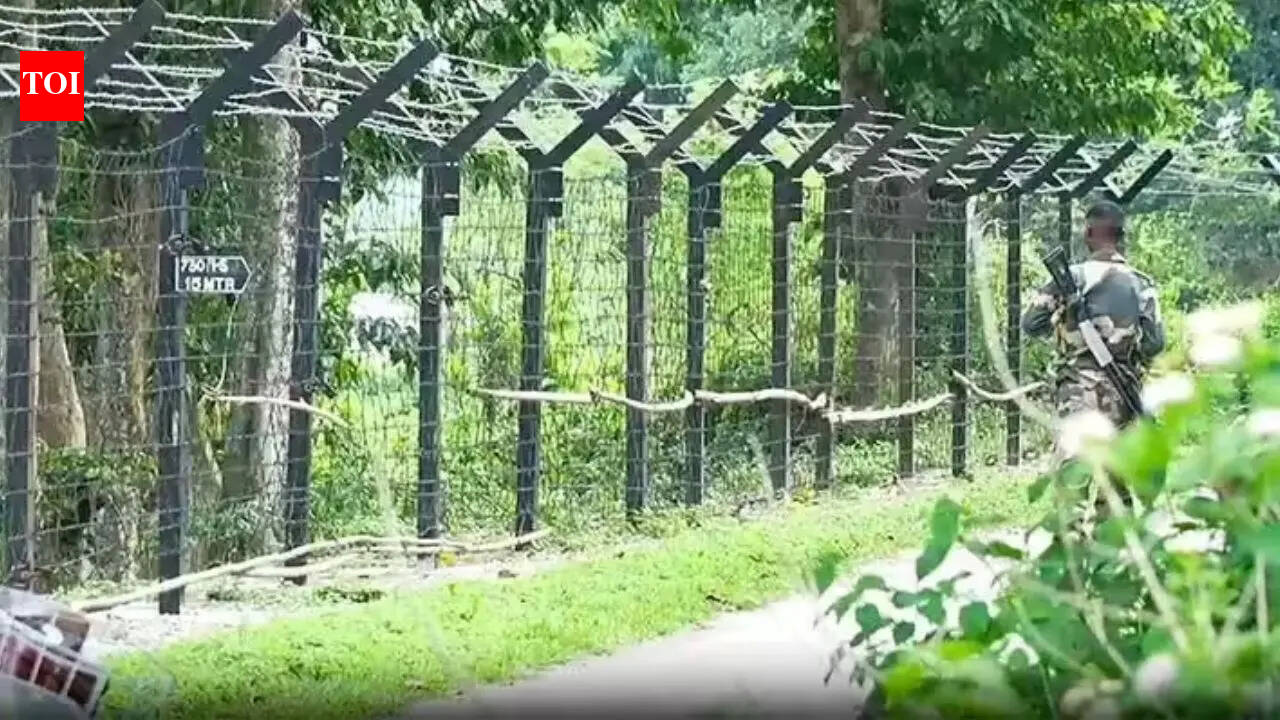 'Historical mistakes': Himanta flags delay in India-Bangladesh border fencing, says Assam Accord provisions implemented only in 2025