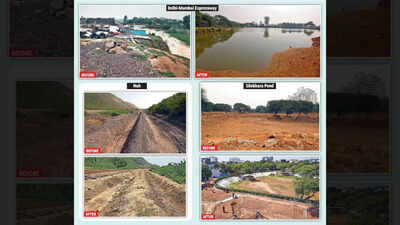 Why Haryana citizen warriors lead fight to protect environment instead of state