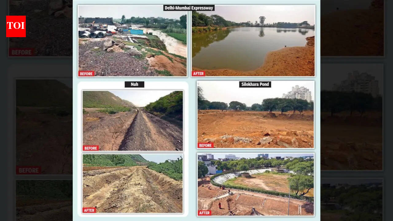 Why Haryana citizen warriors lead fight to protect environment instead of state