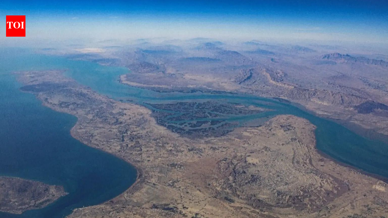 Iran to immediately open Hormuz, US to lift Naval blockade: Draft deal details emerge