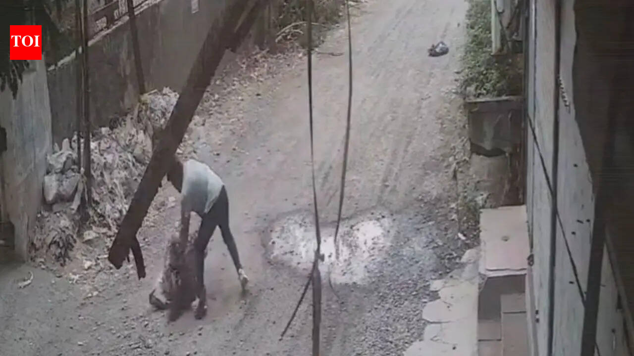 Maharashtra man stabs women multiple times over personal dispute, chilling CCTV footage surfaces