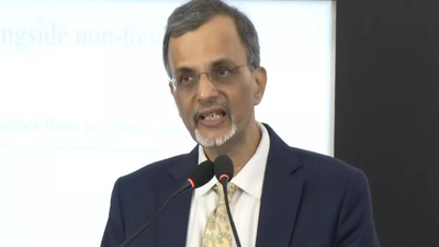 India does not use methodology changes to inflate growth numbers,  CEA Nageswaran defends GDP data