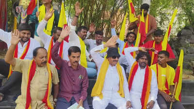 Kannada activists, Vatal Nagaraj protest delay in cabinet expansion
