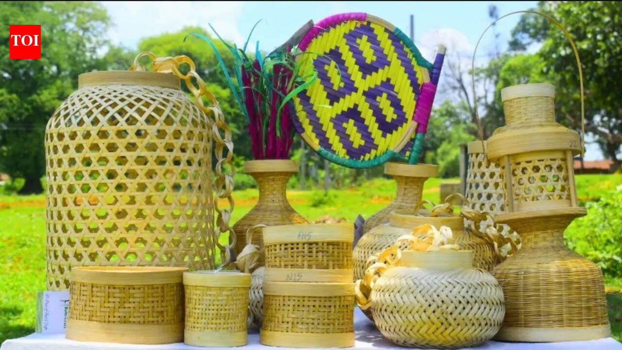 4 products from Jharkhand get GI tag
