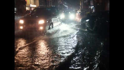 3 killed in lightning strikes across state; city gets heavy rain